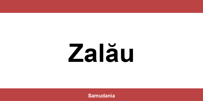 Consultă datele de contact ale depozitului Sameday din Zalău