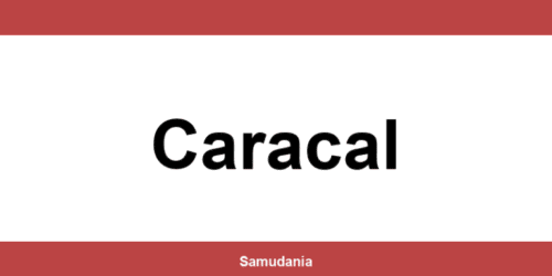 Consultă datele de contact ale depozitului Sameday din Caracal