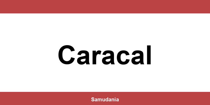 Consultă datele de contact ale depozitului Sameday din Caracal